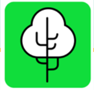 Lifetree Logo